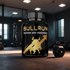 BullRun