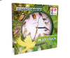 Birdsong Clock a 15.680 HUF