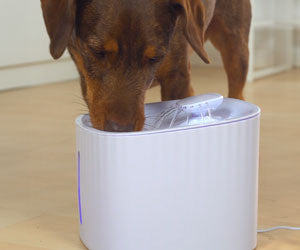 Starlyf Pet Fountain a 49,99€