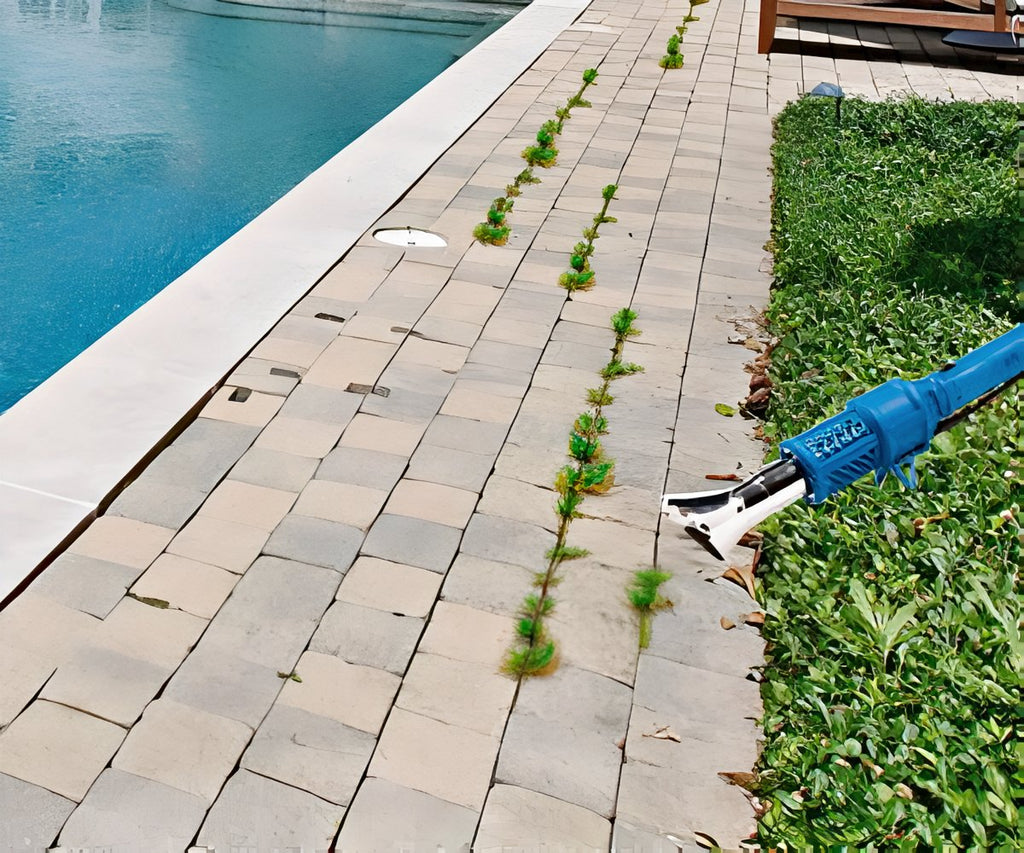 Weed Burner a 59,99€