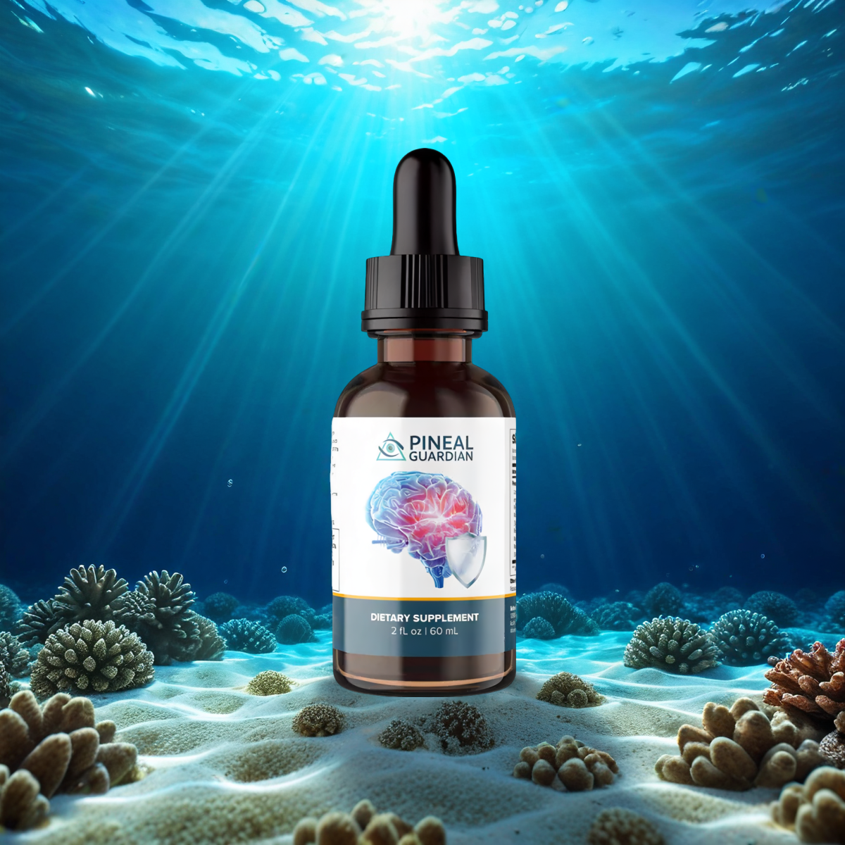 Pineal Guardian 1 bottle