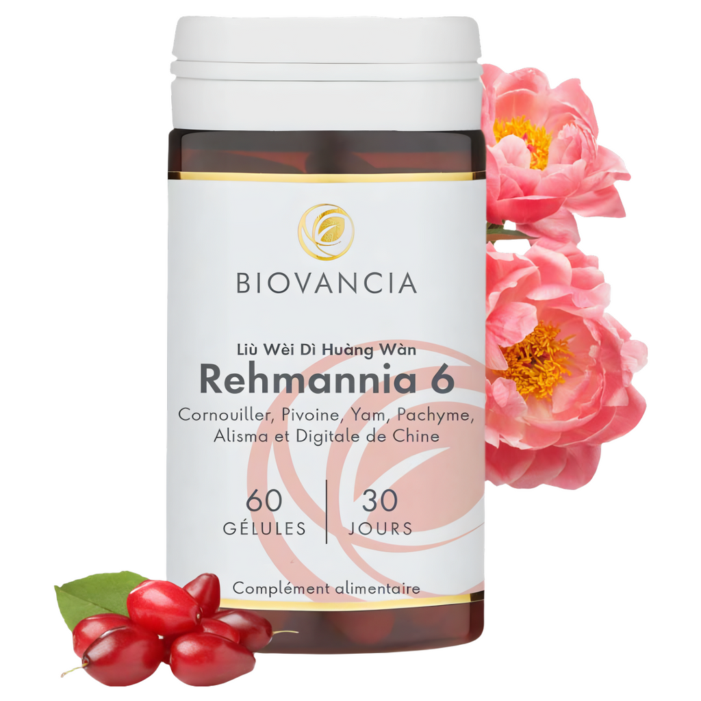 Rehmannia